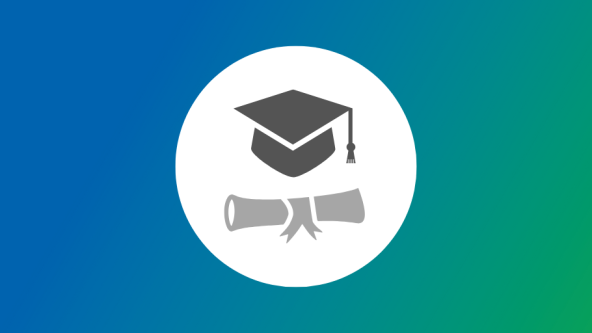 Internships and Theses